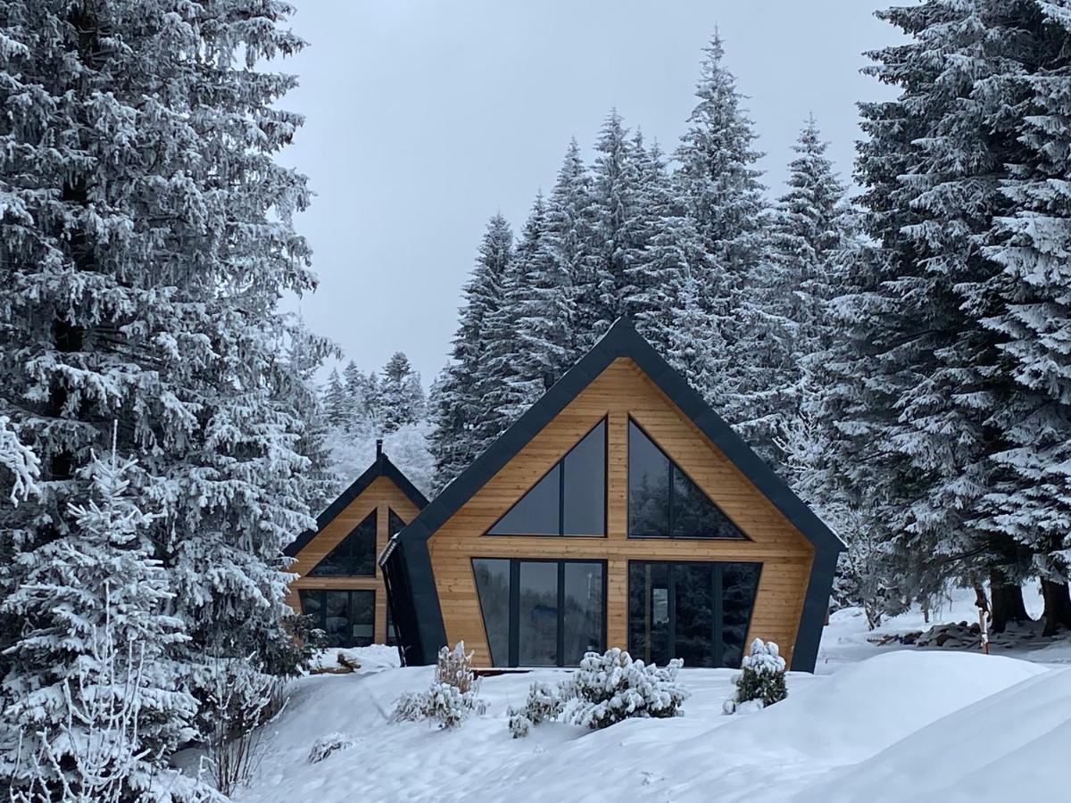 Chalet Belveder Horska Chata Zelezna Ruda Exterior foto