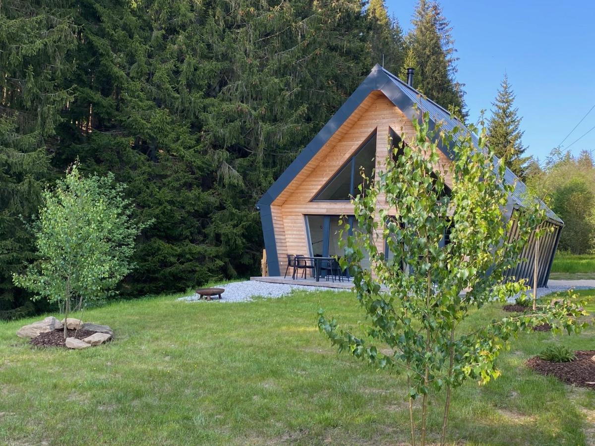 Chalet Belveder Horska Chata Zelezna Ruda Exterior foto