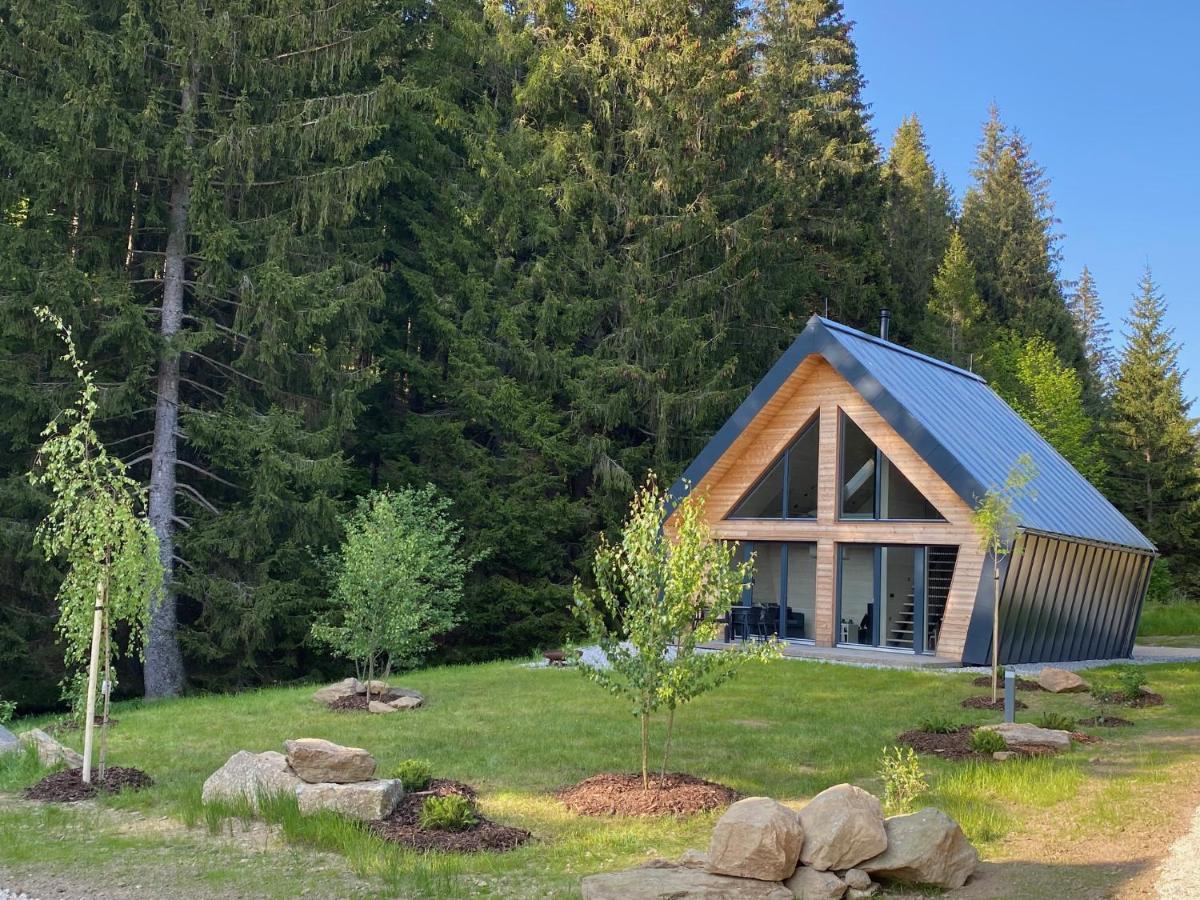 Chalet Belveder Horska Chata Zelezna Ruda Exterior foto
