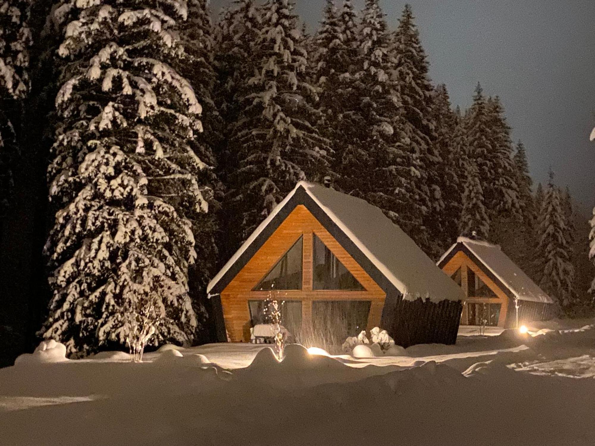 Chalet Belveder Horska Chata Zelezna Ruda Exterior foto