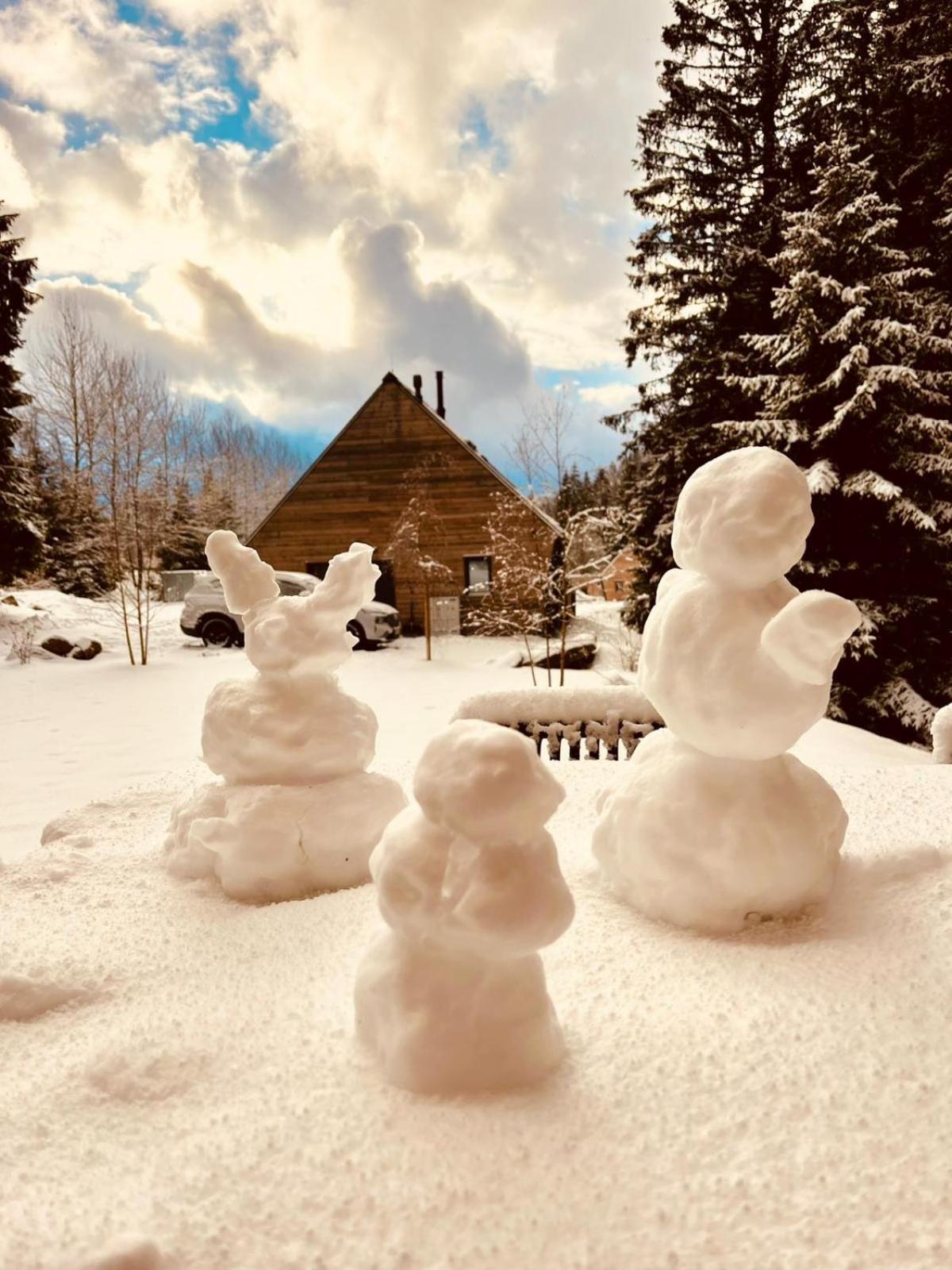 Chalet Belveder Horska Chata Zelezna Ruda Exterior foto