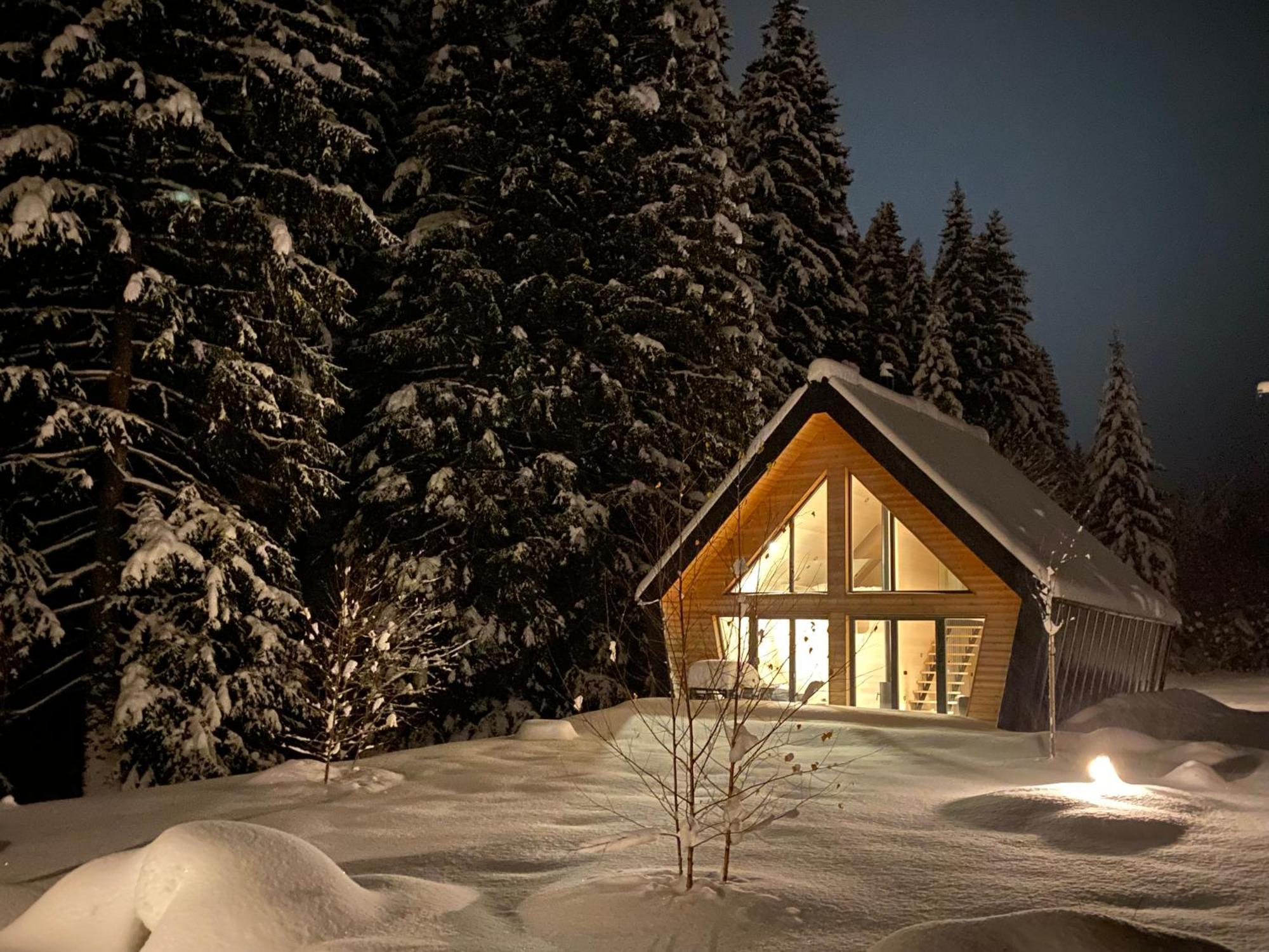 Chalet Belveder Horska Chata Zelezna Ruda Exterior foto